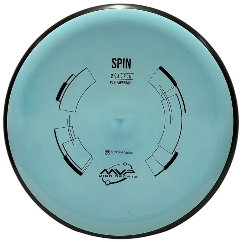 Neutron Spin