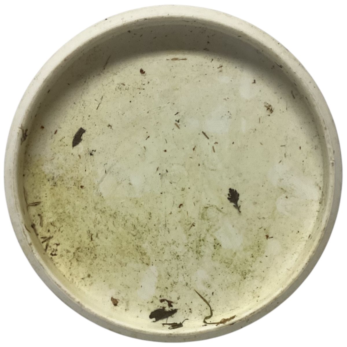 Classic Blend Deputy|Hvit|173g