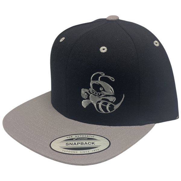 Hovedbilde Two Tone Snapback Hat Buzzz