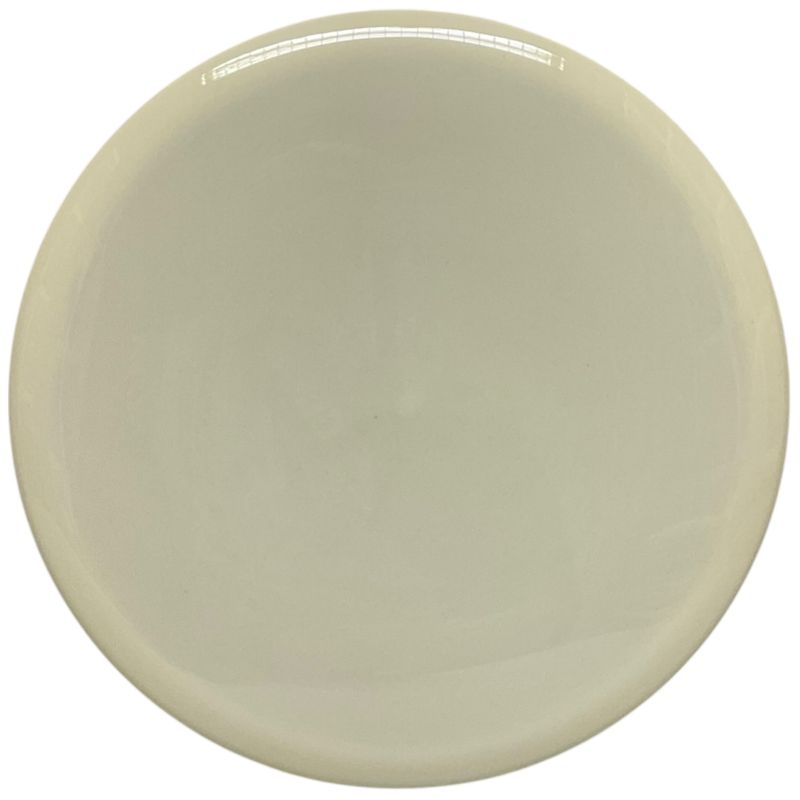 Neutron Echo (Blank white)