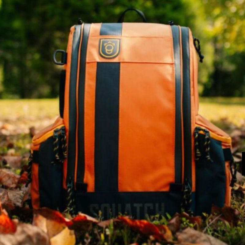 Link bag w/cooler