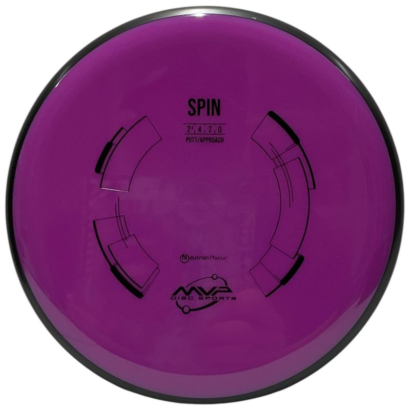 Neutron Spin