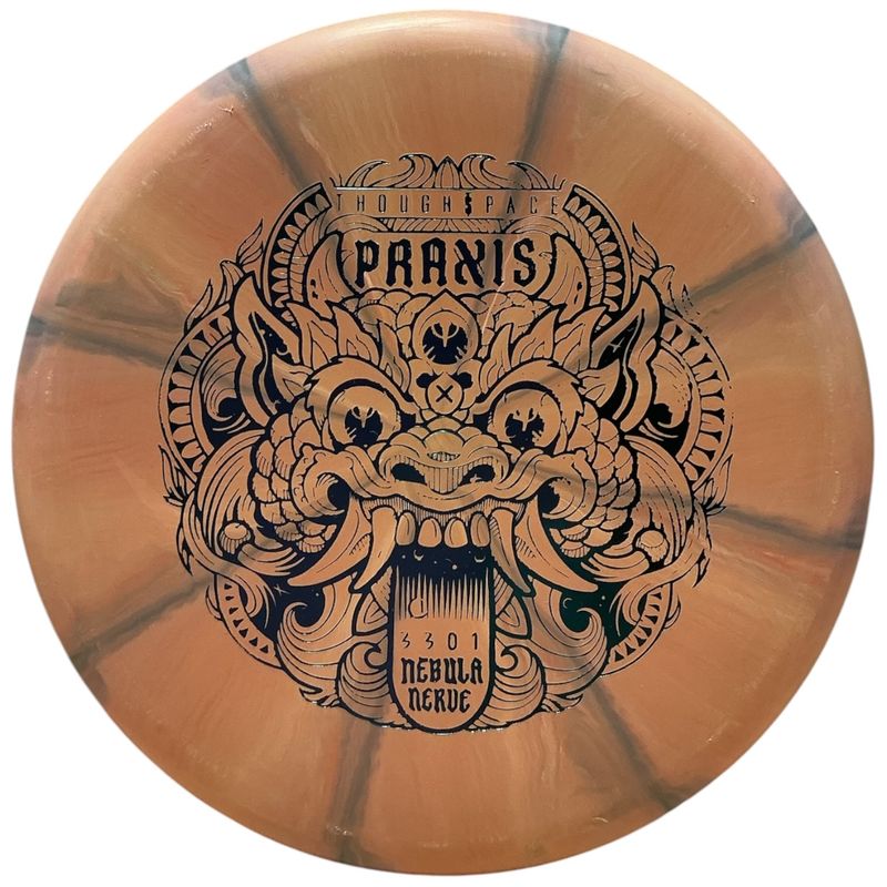 Nebula Nerve Firm Praxis