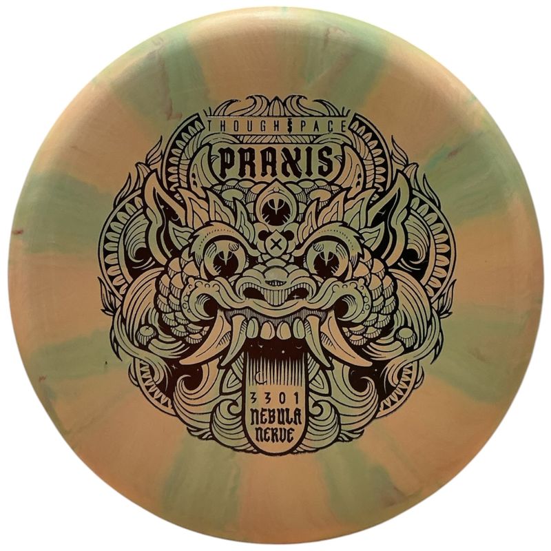 Nebula Nerve Firm Praxis